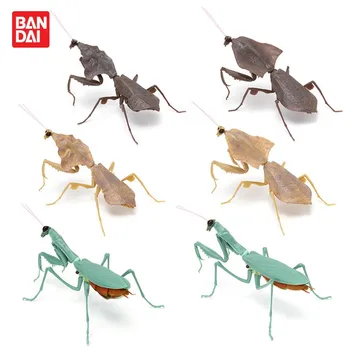 BANDAI Gachapon Kapsule Hračka Gashapon Mantis Mantodea Simulácie Veľkého Hmyzu Model Kolekcie